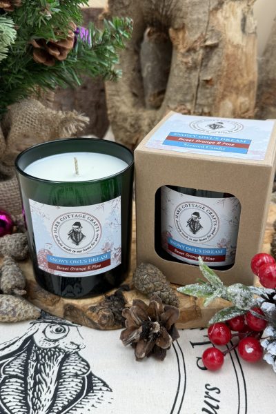 Snowy Owls Dream 30CL Candle