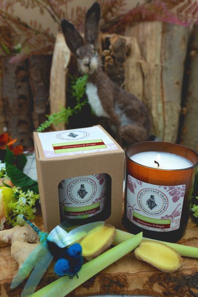 Candles - Dragonfly's Dance