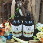 Hand and Body Lotion Set - Hare Cottage Craft - Dragonfly's Dance