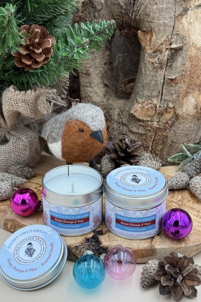 Christmas 10CL Tin Candles - Snowy Owls Dream