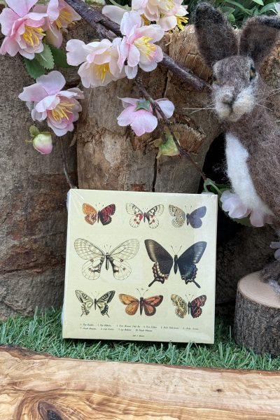 Luxury Match Boxes - Butterfly