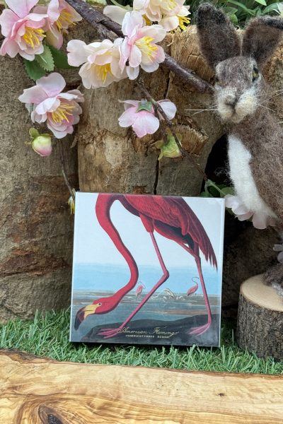 Luxury Match Boxes - Flamingo