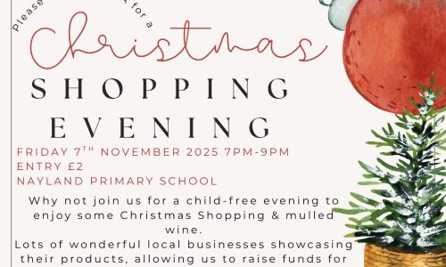 Nayland Primary School Christmas Shopping 2025