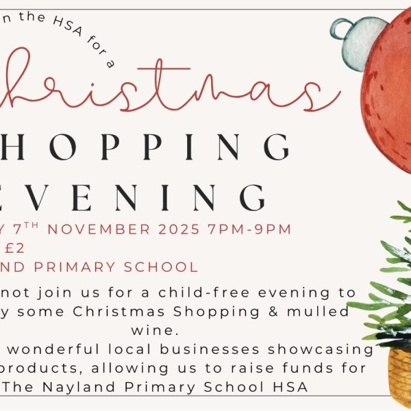 Nayland Primary School Christmas Shopping 2025